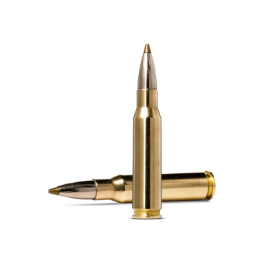 Norma Evostrike .308 Win., 9,0 g