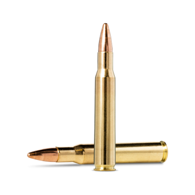 Norma FMJ .30-06, 9.7g Golden Target