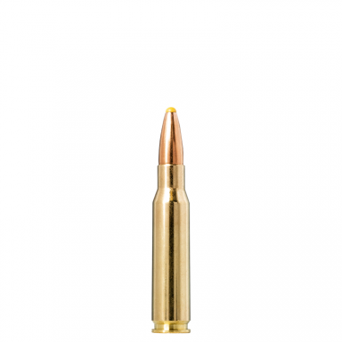 Norma Plastic Point .308 Win., 11,7 g Norma Plastic Point .308 Win., 11,7 g