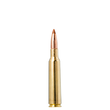 Norma BST 6,5x55, 7,8 g Norma BST 6,5x55, 7,8 g
