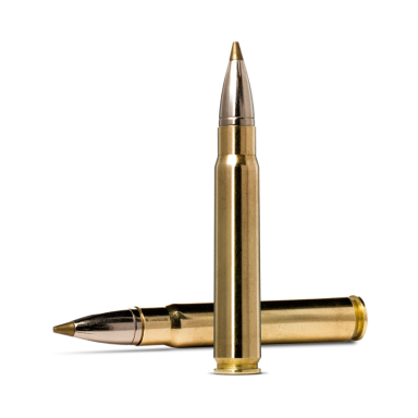 Norma Evostrike 9,3x62,  11,9 g