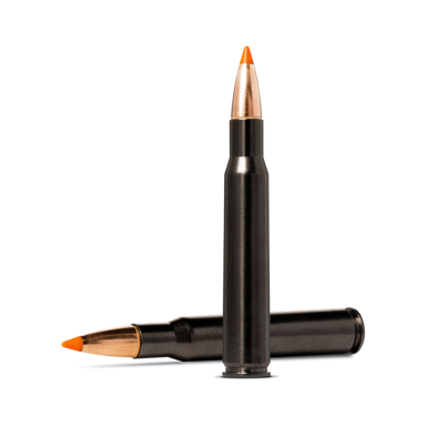 Norma Silencer Tipstrike .30-06, 11 g