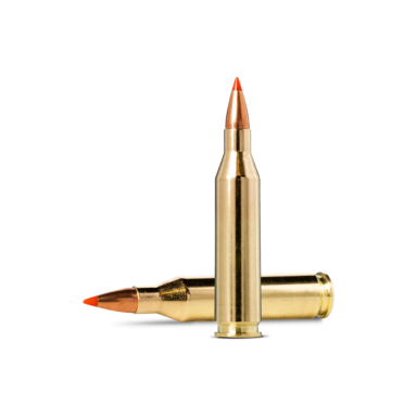 Norma V-MAX .243 Win., 3,8g Norma V-MAX .243 Win., 3,8g