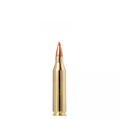 Norma V-MAX .243 Win., 3,8g Norma V-MAX .243 Win., 3,8g