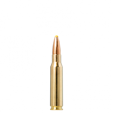 Norma Plastic Point .308 Win., 11,7 g