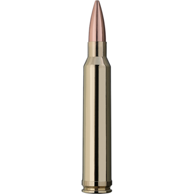 RWS .223 REM. TARGET ELITE PLUS 3,36 g